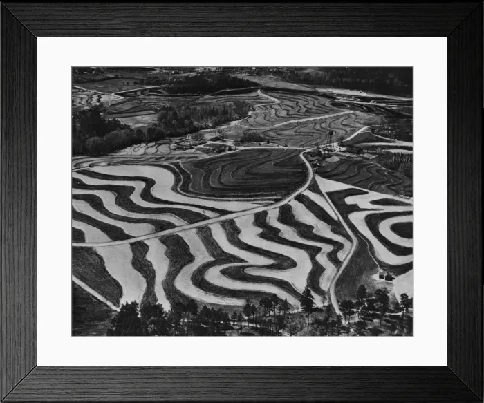 Framed Print : Soil Patterns Framed Print : Soil Patterns
