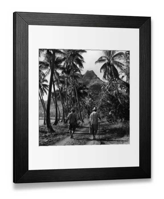 Framed Print : Holiday On Moorea