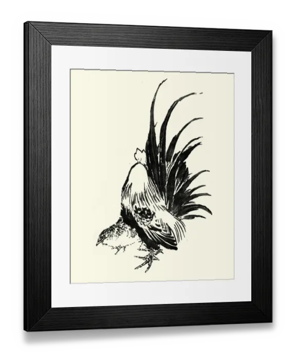 Framed Print : Japanesse Art, Sketch of a cockerel Framed Print : Japanesse Art, Sketch of a cockerel