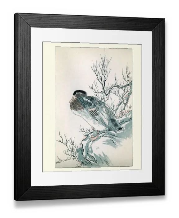 Framed Print : Japanesse Art, Study of a Duck Framed Print : Japanesse Art, Study of a Duck
