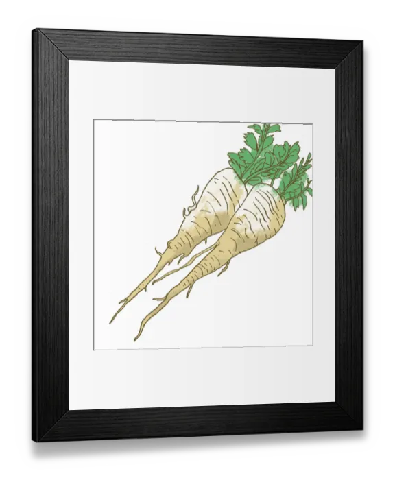 Framed Print : colour, cream coloured, green, homegrown, nobody Framed Print : colour, cream coloured, green, homegrown, nobody