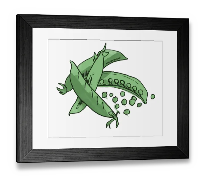 Framed Print : colour, green, homegrown, mange-tout, nobody Framed Print : colour, green, homegrown, mange-tout, nobody