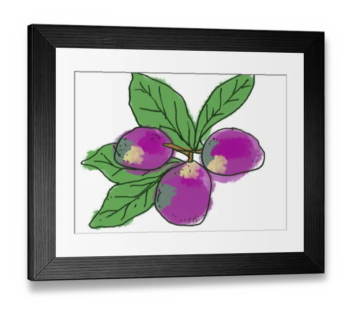 Framed Print : colour, green, homegrown, nobody Framed Print : colour, green, homegrown, nobody