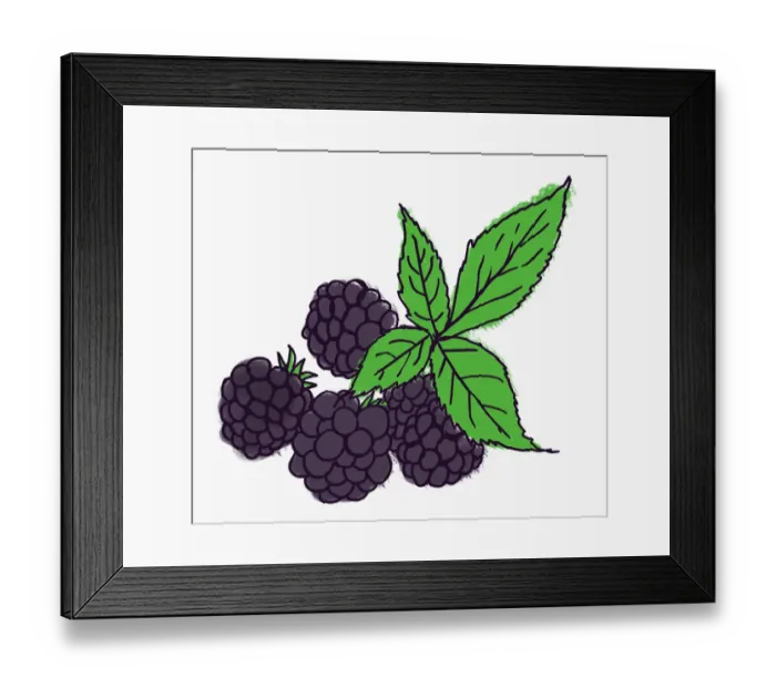Framed Print : Dorling Kindersley Framed Print : Dorling Kindersley