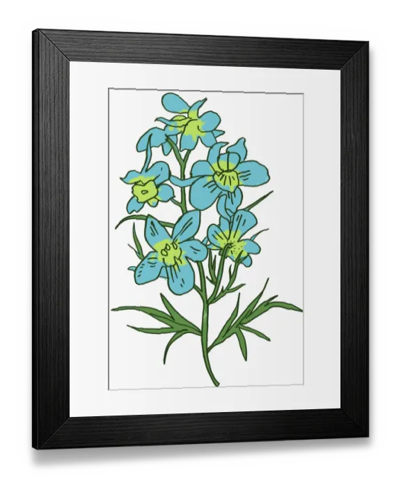 Framed Print : colour, green, nobody, ranunculaceae Framed Print : colour, green, nobody, ranunculaceae