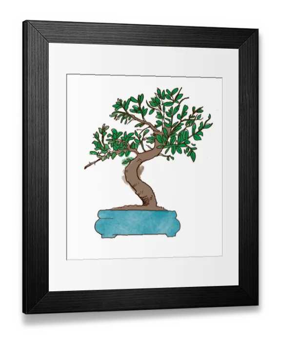 Framed Print : colour, green, nobody, plant pot, pot plant Framed Print : colour, green, nobody, plant pot, pot plant