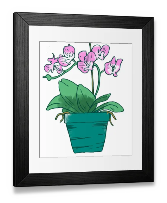 Framed Print : plants, pot plant Framed Print : plants, pot plant