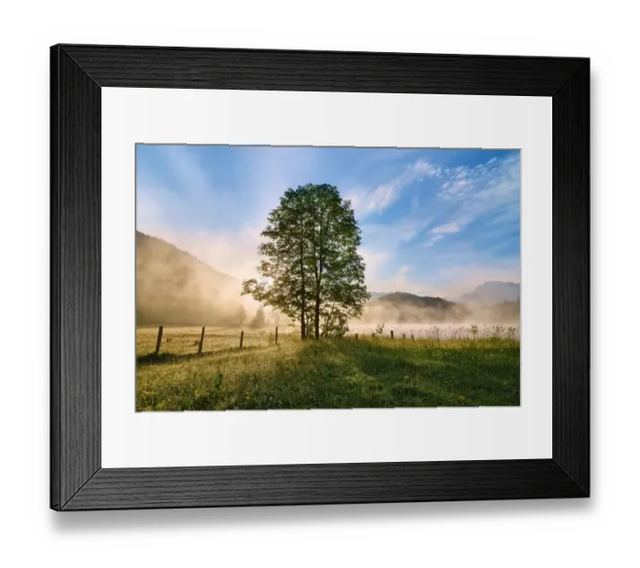 Framed Print : Summer at the Lake Framed Print : Summer at the Lake