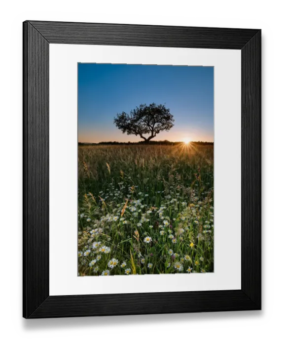 Framed Print : Summer field Framed Print : Summer field