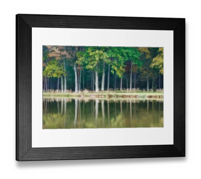 Framed Print : Painted nature Framed Print : Painted nature