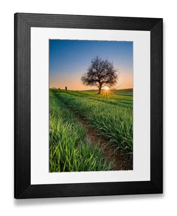 Framed Print : Sunset at field near Heidelberg Framed Print : Sunset at field near Heidelberg