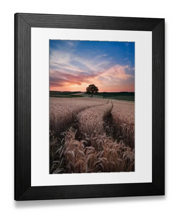 Framed Print : Sunset in field