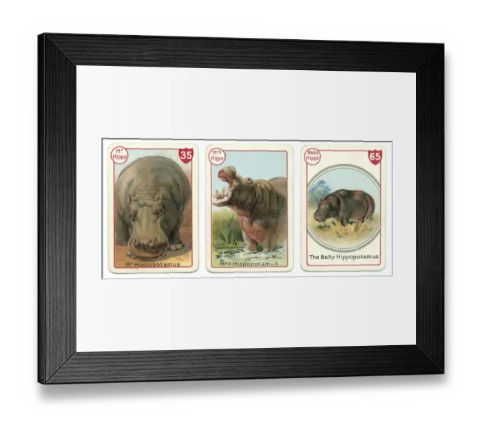 Framed Print : Three hippopotamus playing cards Victorian animal families game Framed Print : Three hippopotamus playing cards Victorian animal families game