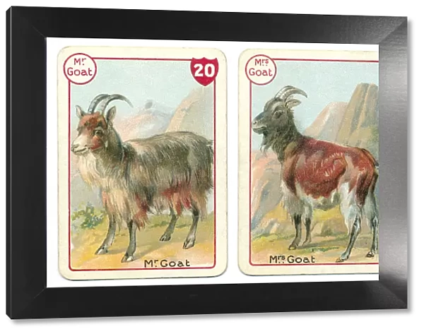 Three goat playing cards Victorian animal families game