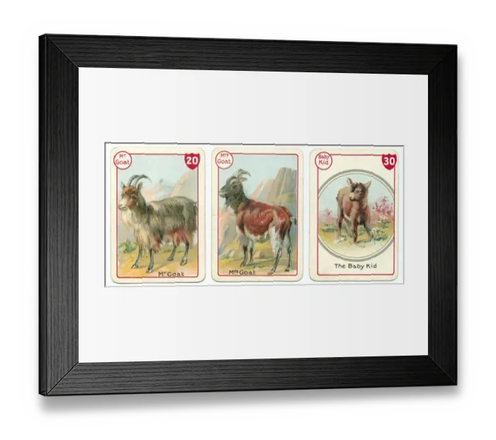 Framed Print : Three goat playing cards Victorian animal families game Framed Print : Three goat playing cards Victorian animal families game