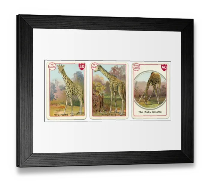 Framed Print : Three giraffe playing cards Victorian animal families game Framed Print : Three giraffe playing cards Victorian animal families game