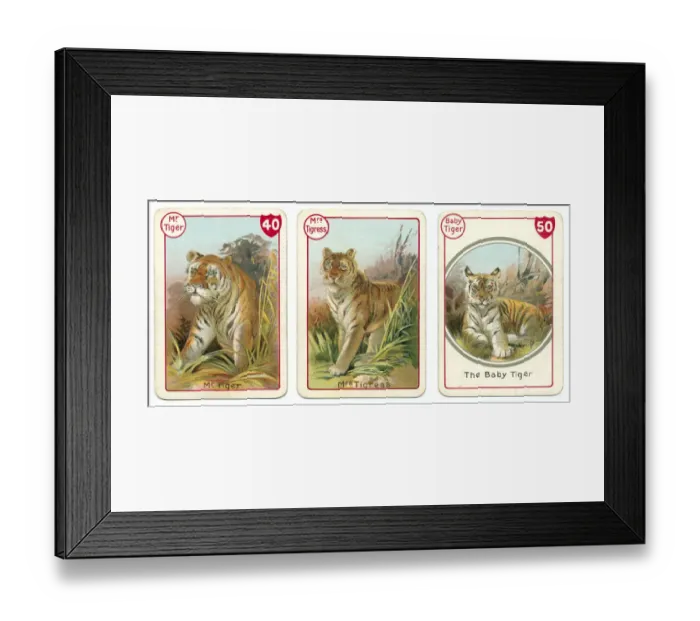 Framed Print : Three tiger playing cards Victorian animal families game Framed Print : Three tiger playing cards Victorian animal families game
