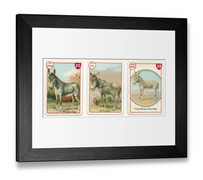 Framed Print : Three donkey playing cards Victorian animal families game Framed Print : Three donkey playing cards Victorian animal families game