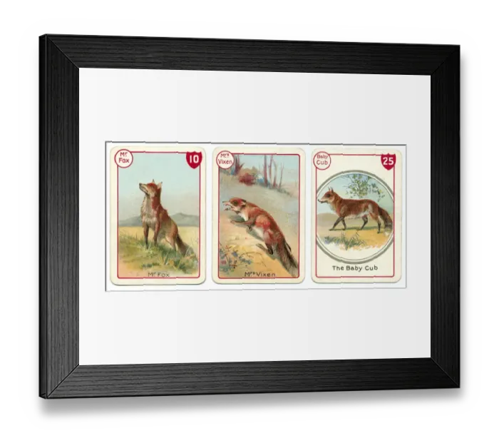 Framed Print : Three fox playing cards Victorian animal families game Framed Print : Three fox playing cards Victorian animal families game