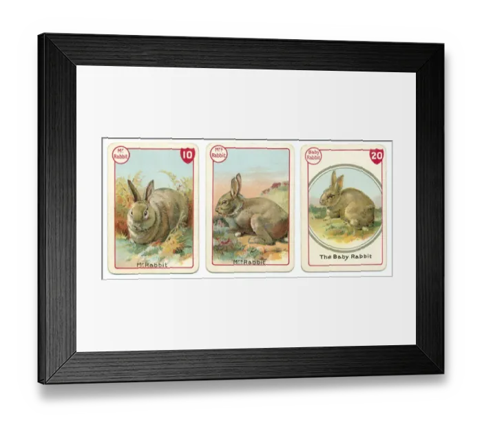Framed Print : Three rabbit playing cards Victorian animal families game Framed Print : Three rabbit playing cards Victorian animal families game