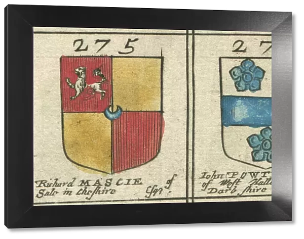 Coat of arms copperplate 17th century Mascie and Powtrell