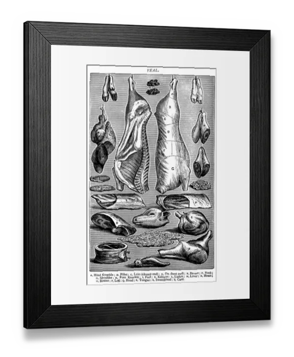 Framed Print : Antique recipes book engraving illustration: Veal Framed Print : Antique recipes book engraving illustration: Veal