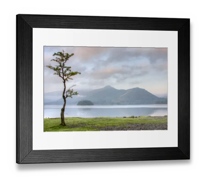 Framed Print : Cat Bells Viewed Across Derwentwater Framed Print : Cat Bells Viewed Across Derwentwater