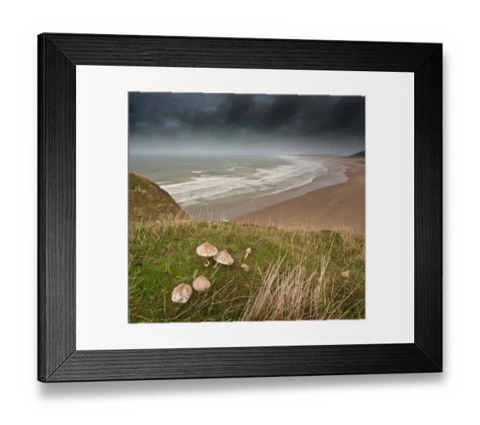 Framed Print : Rhossili Bay and Fungi Framed Print : Rhossili Bay and Fungi