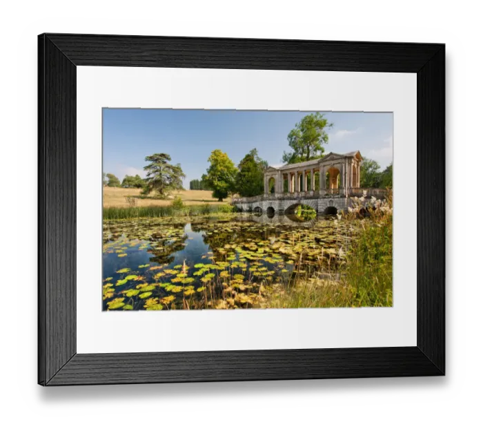 Framed Print : Palladian Bridge and Water Lilies