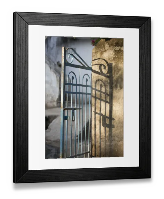 Framed Print : Morning light on a gate, Udaipur, Rajasthan, India Framed Print : Morning light on a gate, Udaipur, Rajasthan, India