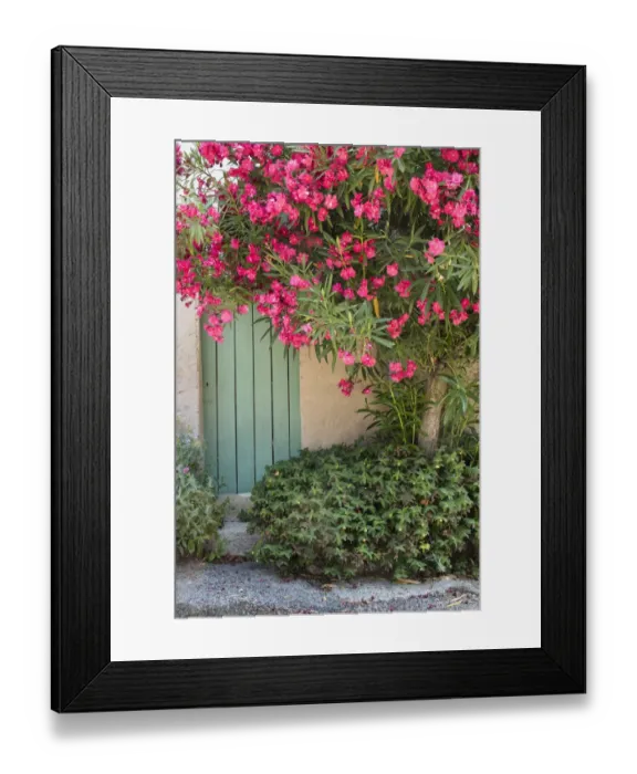 Framed Print : Doorway St Michel L Observatoire, Provence, France Framed Print : Doorway St Michel L Observatoire, Provence, France