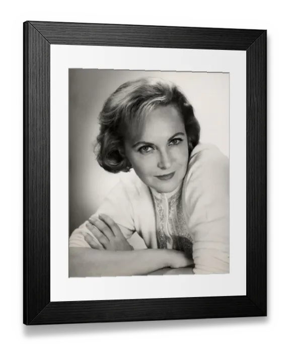Framed Print : Retrofile. Fine Art Storehouse Collections: Retrofile
