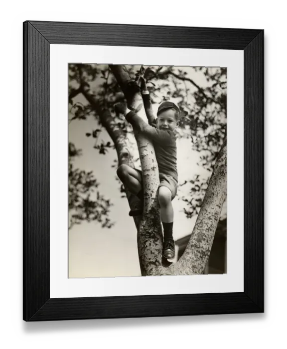 Framed Print : Boy climbing tree Framed Print : Boy climbing tree