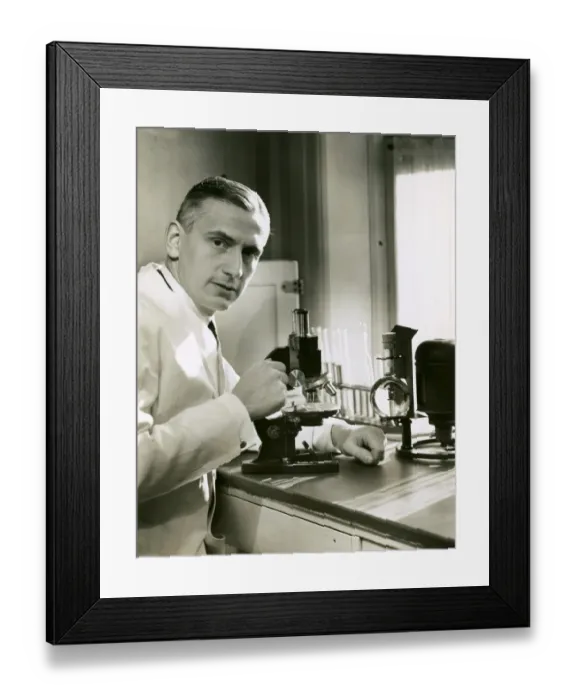 Framed Print : Doctor with microscope in lab Framed Print : Doctor with microscope in lab