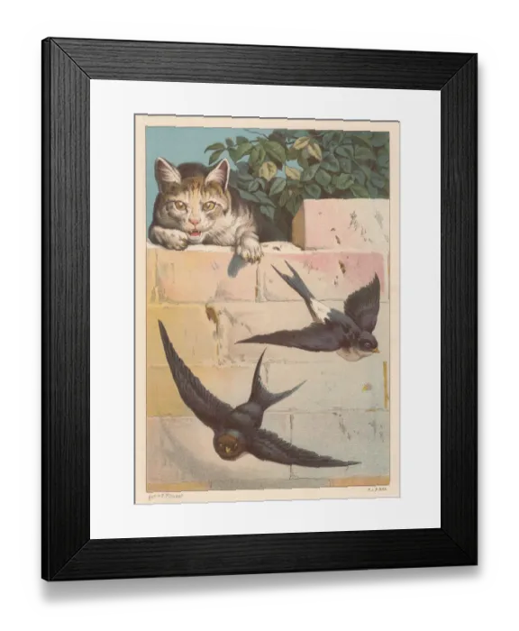 Framed Print : Swallows and cat, lithograph, published in 1884 Framed Print : Swallows and cat, lithograph, published in 1884