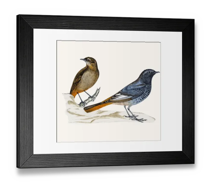 Framed Print : Blackstart Framed Print : Blackstart
