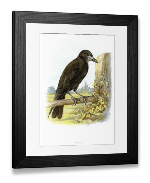 Framed Print : Animal, Animal Themes, Animals In The Wild, Antique, Art, Art And Craft, Bird, Chess Rook Framed Print : Animal, Animal Themes, Animals In The Wild, Antique, Art, Art And Craft, Bird, Chess Rook