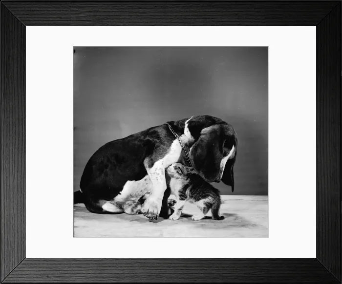 Framed Print : Propping Up Framed Print : Propping Up
