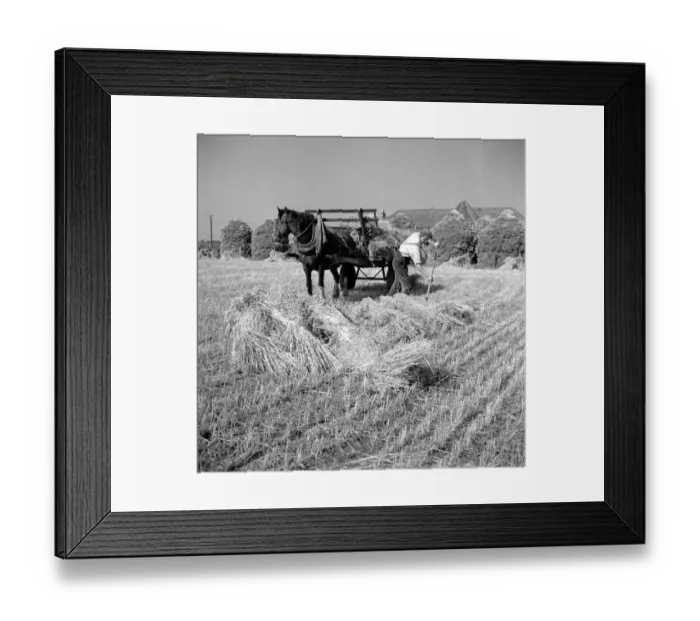 Framed Print : Crop Farmer Framed Print : Crop Farmer