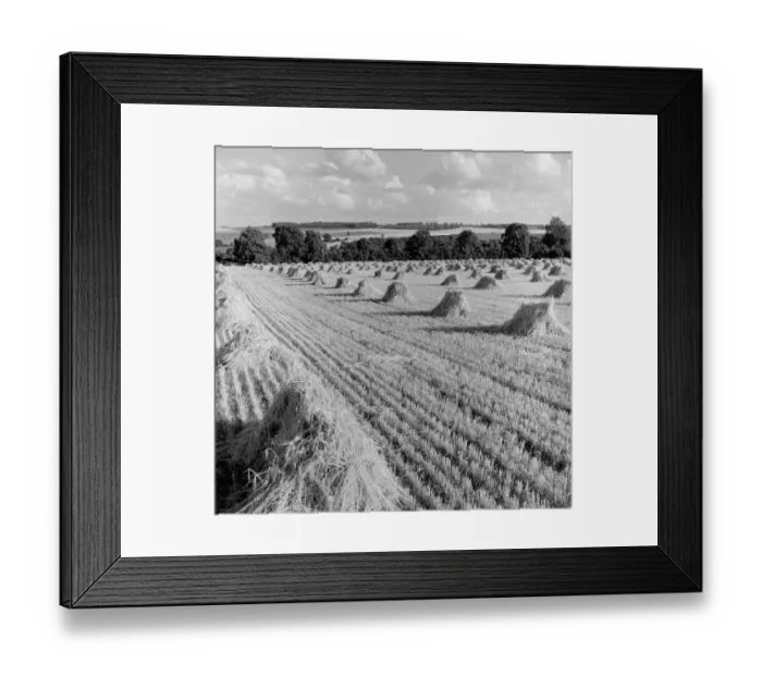 Framed Print : Cotswold Hills Framed Print : Cotswold Hills