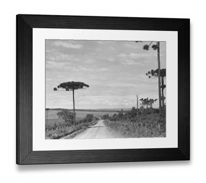 Framed Print : Pan American Highway Framed Print : Pan American Highway