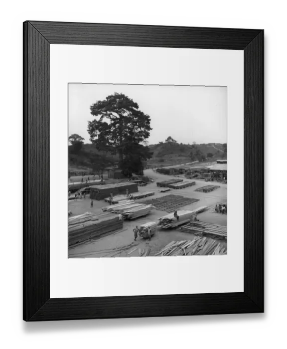 Framed Print : Timber Yard Framed Print : Timber Yard