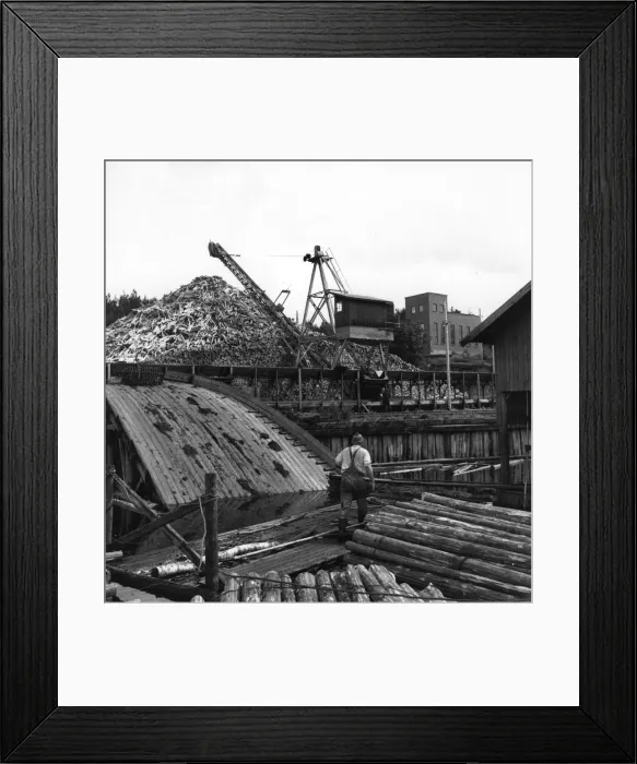 Framed Print : Lumber Piles Framed Print : Lumber Piles