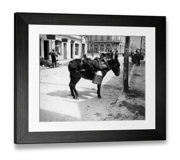 Framed Print : Plovdiv Delivery Framed Print : Plovdiv Delivery