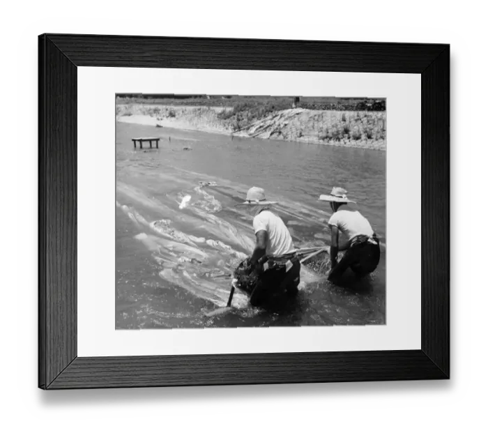 Framed Print : Cloth Dyers