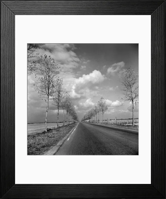 Framed Print : Country Road