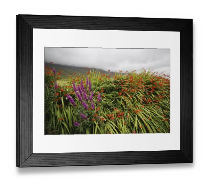 Framed Print : farming: CB2, clouds: CB2, sky: CB2, county: CB2, wildflowers: CB2, landscape: CB2, valley: CB2 Framed Print : farming: CB2, clouds: CB2, sky: CB2, county: CB2, wildflowers: CB2, landscape: CB2, valley: CB2