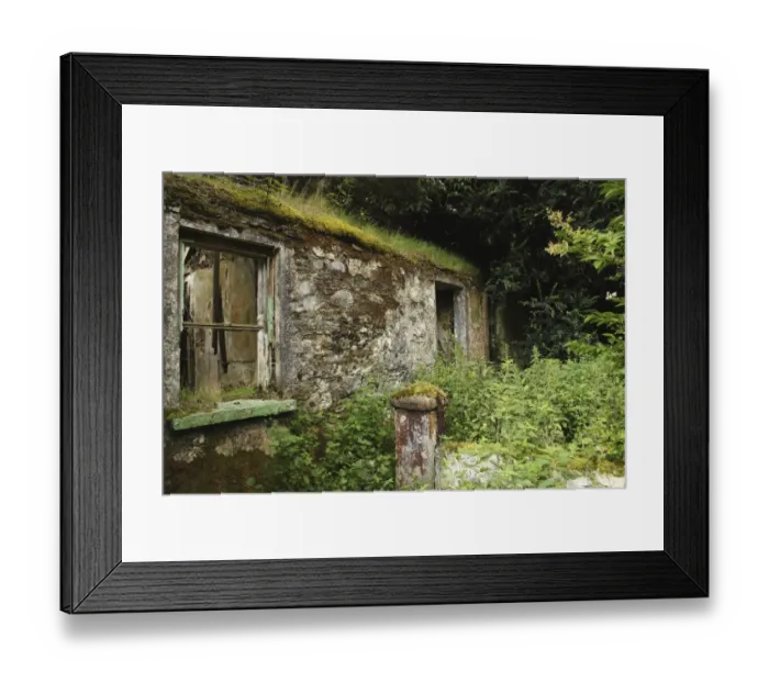 Framed Print : overgrown: CB2, empty: CB2, tree: CB2, disrepair: CB1, county: CB2, bush: CB2, roof: CB2 Framed Print : overgrown: CB2, empty: CB2, tree: CB2, disrepair: CB1, county: CB2, bush: CB2, roof: CB2