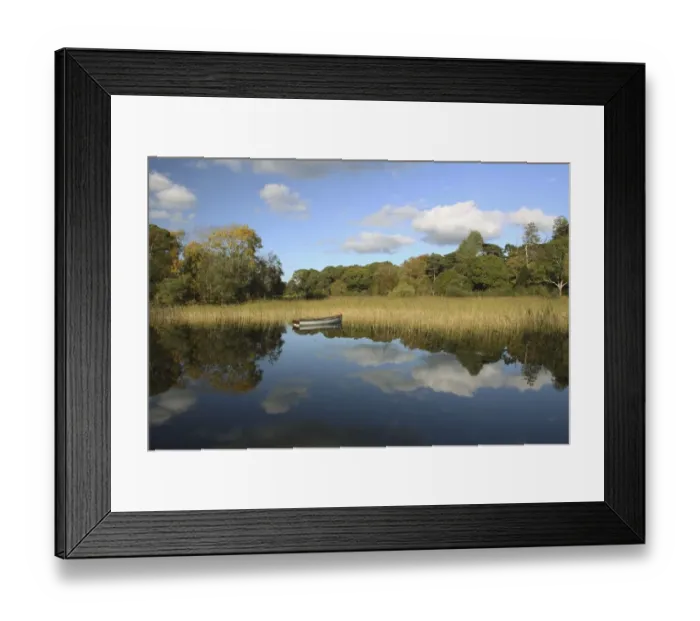 Framed Print : tree: CB2, grass: CB2, clouds: CB2, sky: CB2, county: CB2, landscape: CB1, rowboat: CB2 Framed Print : tree: CB2, grass: CB2, clouds: CB2, sky: CB2, county: CB2, landscape: CB1, rowboat: CB2