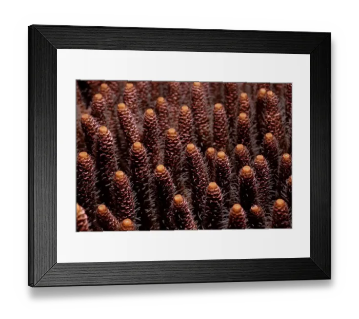 Framed Print : Magical Underwater World Framed Print : Magical Underwater World